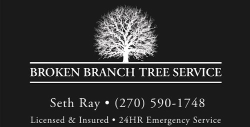 Broken Branch Tree Service